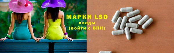 PSILOCYBIN Богданович