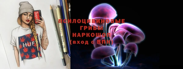PSILOCYBIN Богданович
