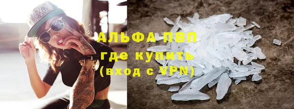 PSILOCYBIN Богданович