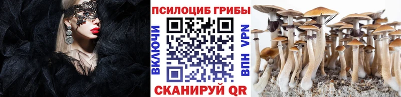 купить наркотик  Старый Оскол  Галлюциногенные грибы MAGIC MUSHROOMS 